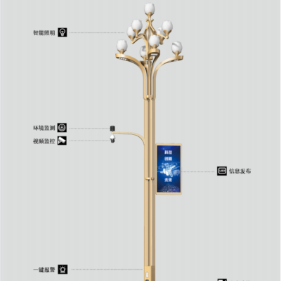 智慧路灯锦绣芙蓉二层