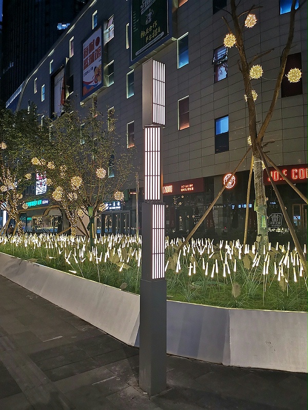 QQ图片20220531174121